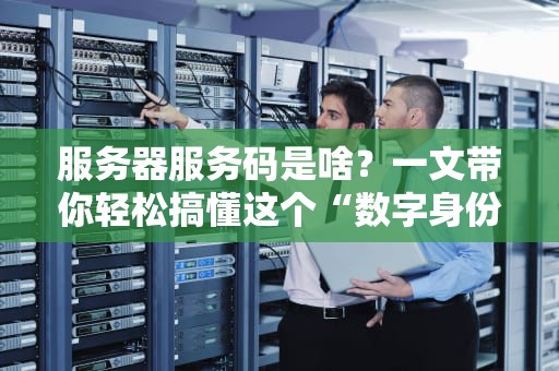 服务器服务码是啥？一文带你轻松搞懂这个“数字身份证”！（附常见问题解答）