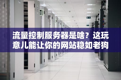 流量控制服务器是啥？这玩意儿能让你的网站稳如老狗！