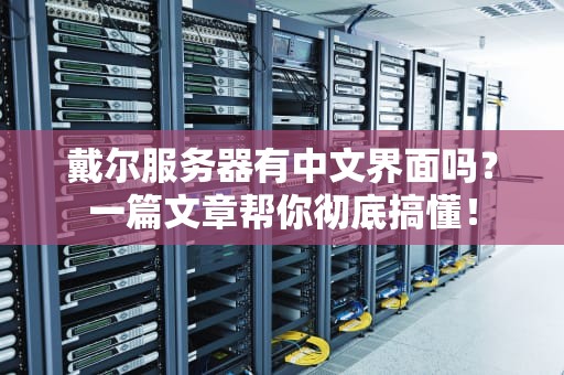 戴尔服务器有中文界面吗？一篇文章帮你彻底搞懂！