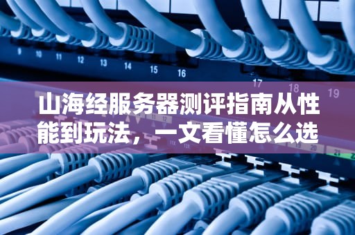 山海经服务器测评指南从性能到玩法，一文看懂怎么选！