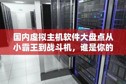 国内虚拟主机软件大盘点从小霸王到战斗机，谁是你的菜？