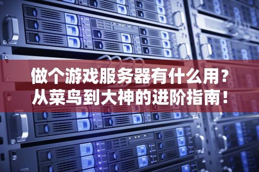 做个游戏服务器有什么用？从菜鸟到大神的进阶指南！