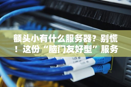 额头小有什么服务器？别慌！这份“脑门友好型”服务器指南来救场！