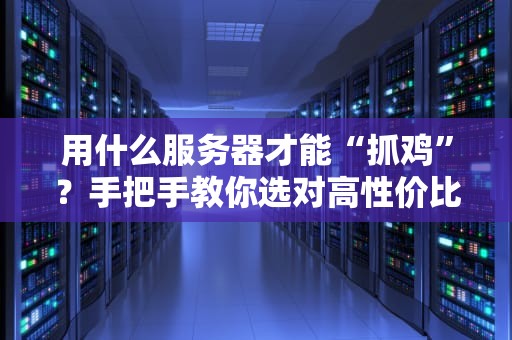 用什么服务器才能“抓鸡”？手把手教你选对高性价比服务器！