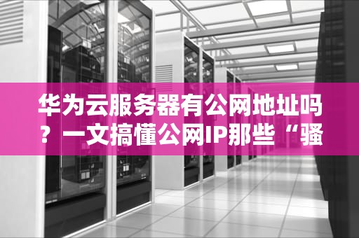 华为云服务器有公网地址吗？一文搞懂公网IP那些“骚操作”！