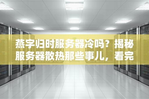 燕字归时服务器冷吗？揭秘服务器散热那些事儿，看完笑出腹肌！