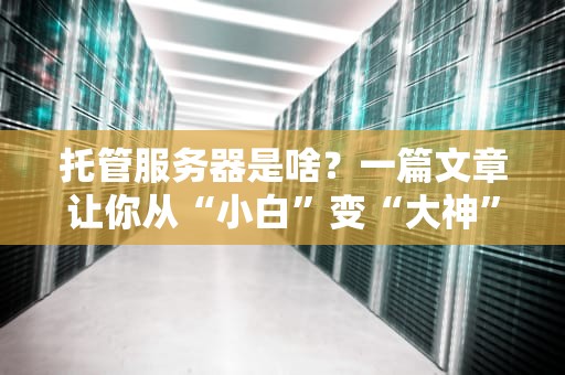 托管服务器是啥？一篇文章让你从“小白”变“大神”！（附真实案例解析）
