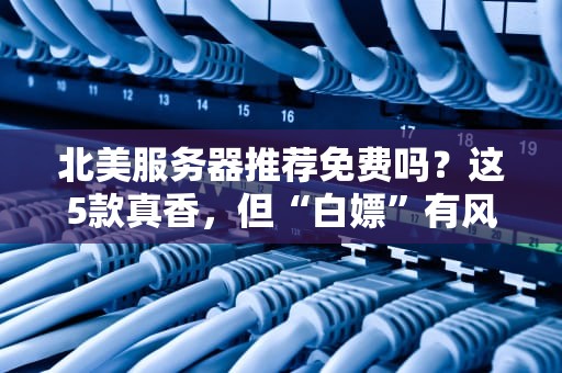 北美服务器推荐免费吗？这5款真香，但“白嫖”有风险！