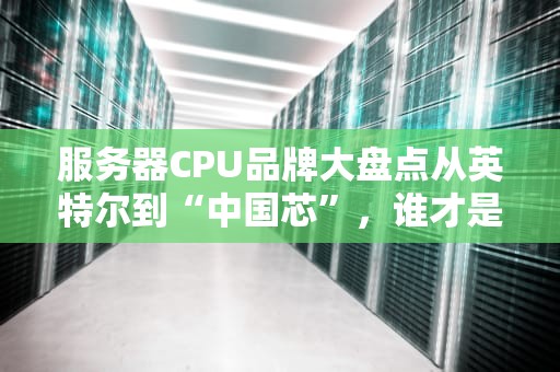 服务器CPU品牌大盘点从英特尔到“中国芯”，谁才是性能王者？
