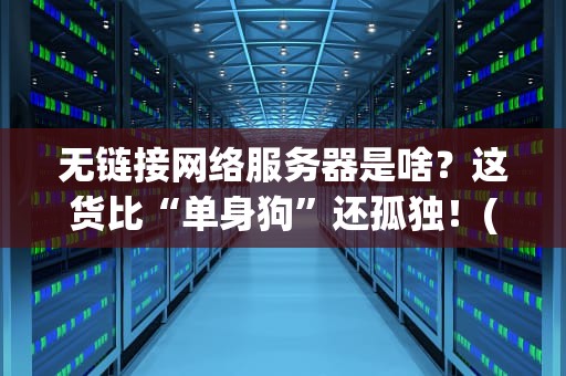 无链接网络服务器是啥？这货比“单身狗”还孤独！(附专业测评+避坑指南)