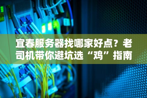 宜春服务器找哪家好点？老司机带你避坑选“鸡”指南！