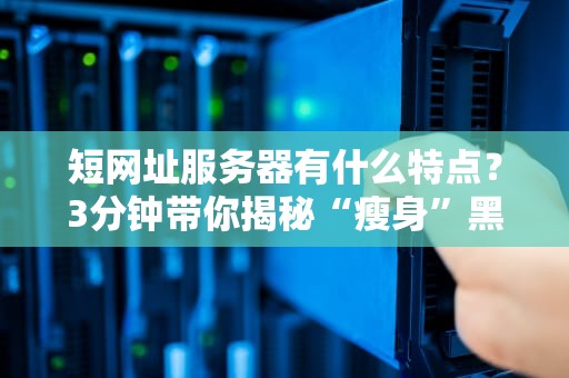 短网址服务器有什么特点？3分钟带你揭秘“瘦身”黑科技！