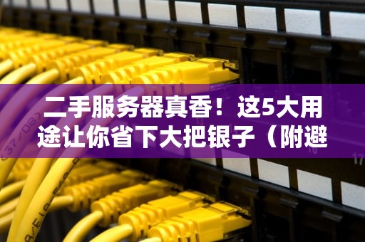 二手服务器真香！这5大用途让你省下大把银子（附避坑指南）