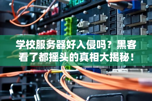 学校服务器好入侵吗？黑客看了都摇头的真相大揭秘！