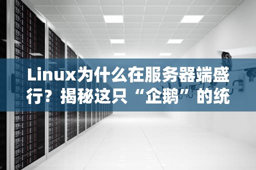 Linux为什么在服务器端盛行？揭秘这只“企鹅”的统治力！