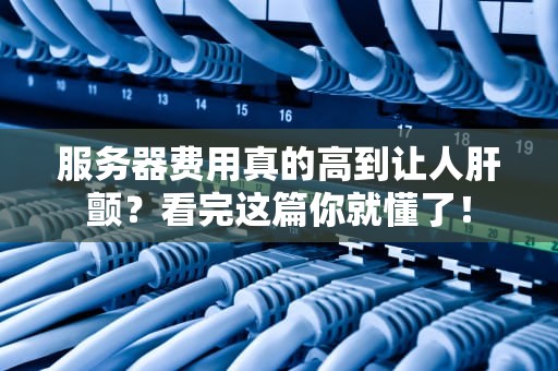 服务器费用真的高到让人肝颤？看完这篇你就懂了！