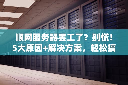 顺网服务器罢工了？别慌！5大原因+解决方案，轻松搞定！