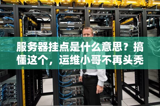 服务器挂点是什么意思？搞懂这个，运维小哥不再头秃！