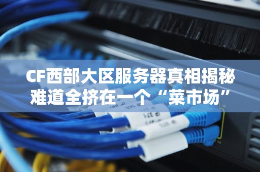 CF西部大区服务器真相揭秘难道全挤在一个“菜市场”？
