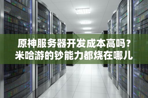 原神服务器开发成本高吗？米哈游的钞能力都烧在哪儿了？