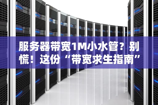 服务器带宽1M小水管？别慌！这份“带宽求生指南”让你秒懂差距！