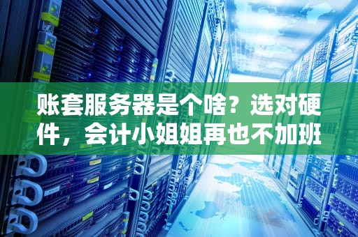 账套服务器是个啥？选对硬件，会计小姐姐再也不加班！