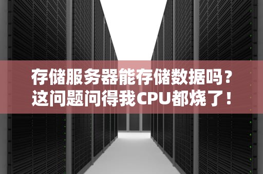 存储服务器能存储数据吗？这问题问得我CPU都烧了！