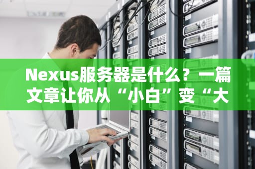 Nexus服务器是什么？一篇文章让你从“小白”变“大佬”（附实战测评）