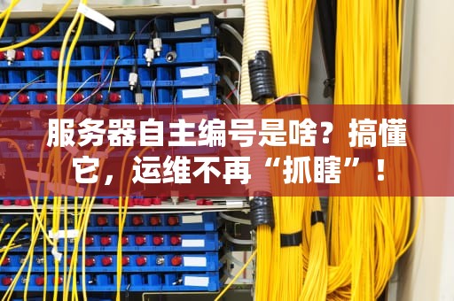 服务器自主编号是啥？搞懂它，运维不再“抓瞎”！