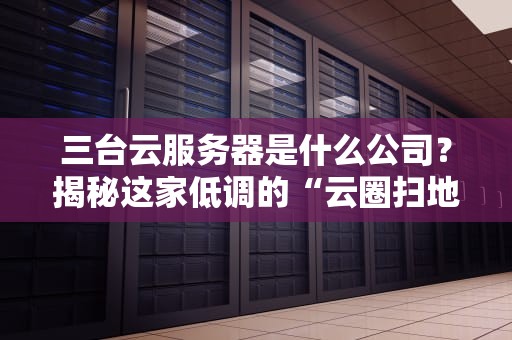 三台云服务器是什么公司？揭秘这家低调的“云圈扫地僧”