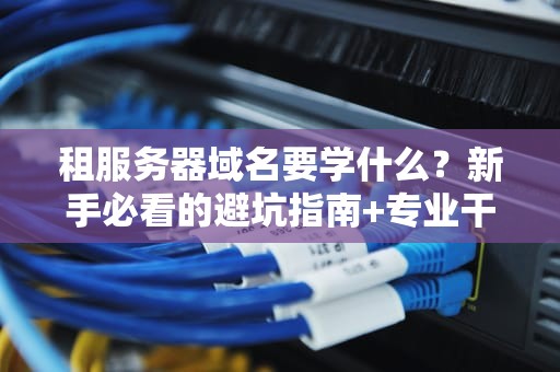 租服务器域名要学什么？新手必看的避坑指南+专业干货！
