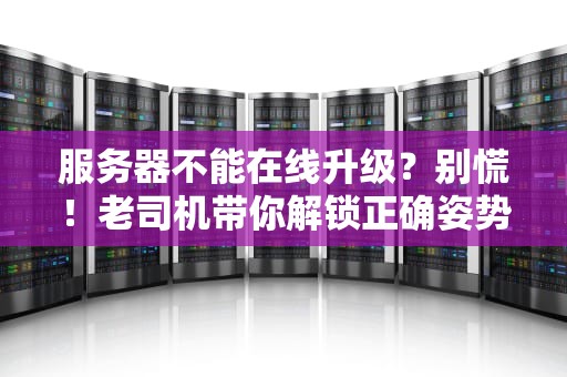 服务器不能在线升级？别慌！老司机带你解锁正确姿势