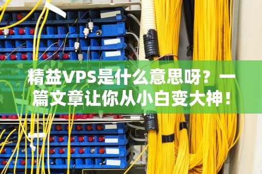 精益VPS是什么意思呀？一篇文章让你从小白变大神！