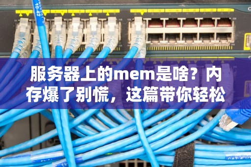 服务器上的mem是啥？内存爆了别慌，这篇带你轻松搞懂！