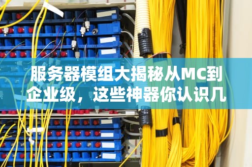 服务器模组大揭秘从MC到企业级，这些神器你认识几个？