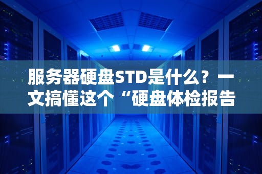 服务器硬盘STD是什么？一文搞懂这个“硬盘体检报告”里的隐藏密码！