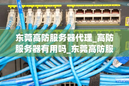 东莞高防服务器代理_高防服务器有用吗_东莞高防服务器代理：保护您的网络资产