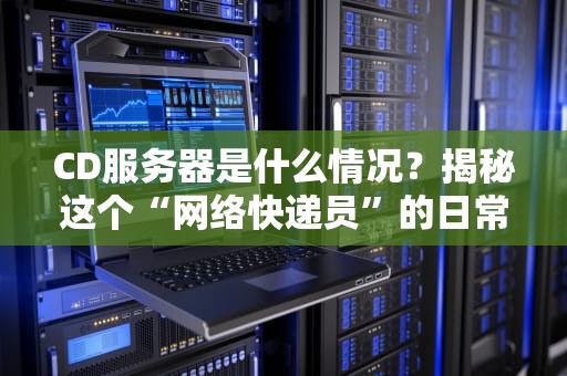 CD服务器是什么情况？揭秘这个“网络快递员”的日常！
