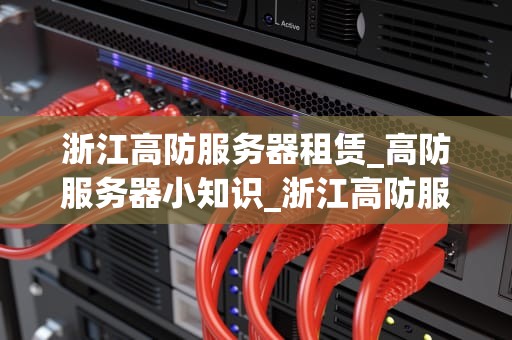 浙江高防服务器租赁_高防服务器小知识_浙江高防服务器租赁：助力企业网络安全的坚实后盾