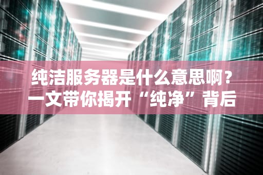 纯洁服务器是什么意思啊？一文带你揭开“纯净”背后的秘密！