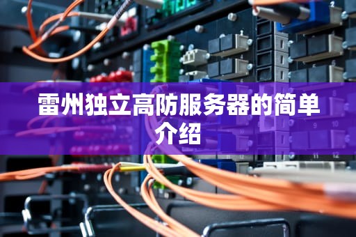 雷州独立高防服务器的简单介绍