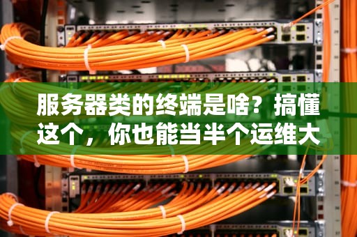 服务器类的终端是啥？搞懂这个，你也能当半个运维大神！