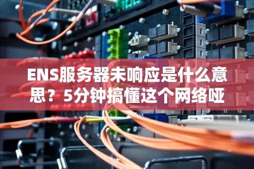 ENS服务器未响应是什么意思？5分钟搞懂这个网络哑巴的真相！