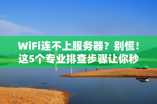 WiFi连不上服务器？别慌！这5个专业排查步骤让你秒变网络大神！