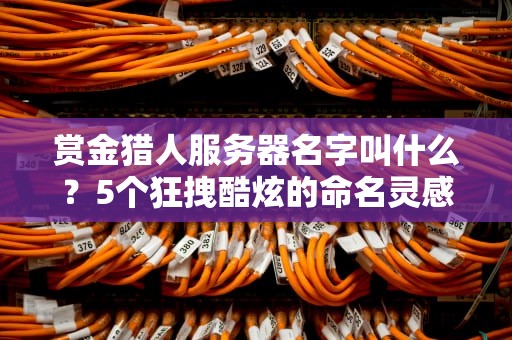 赏金猎人服务器名字叫什么？5个狂拽酷炫的命名灵感+技术选型避坑指南