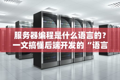 服务器编程是什么语言的？一文搞懂后端开发的“语言大战”