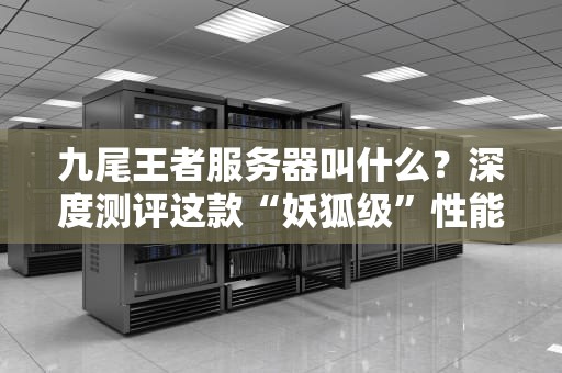 九尾王者服务器叫什么？深度测评这款“妖狐级”性能怪兽！