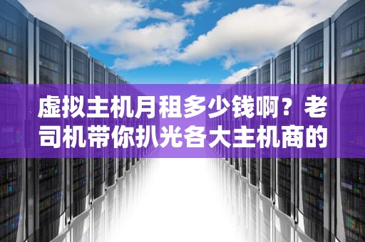 虚拟主机月租多少钱啊？老司机带你扒光各大主机商的底裤！