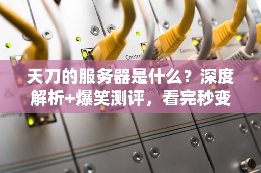 天刀的服务器是什么？深度解析+爆笑测评，看完秒变技术大佬！