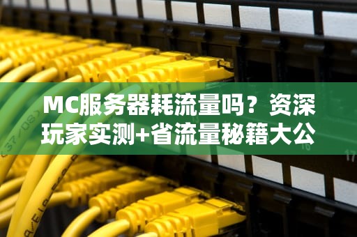 MC服务器耗流量吗？资深玩家实测+省流量秘籍大公开！